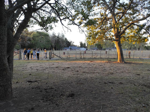 Quinta En Venta- 12 Has Con Pileta- Verónica