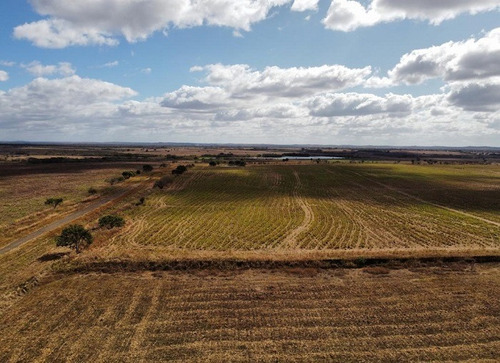 Venta Finca Productora De Cereales Y Ganado