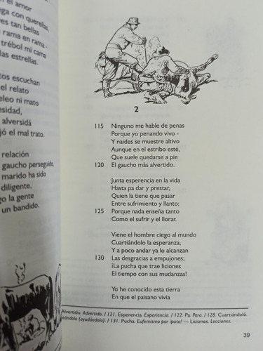 Imagen 4 de 6 de Martín Fierro - José Hernández - Con Ilustraciones Y Notas