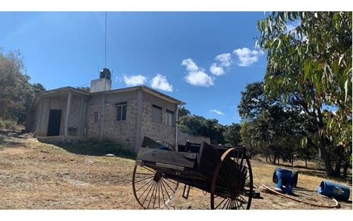 Se Vende Rancho El Pinturero, San Pedrito, Huimilpan, Qro.