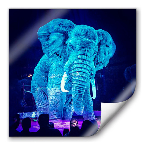 Poster De Papel Fotogra Enrrollado Holograma Elefant 70x70cm