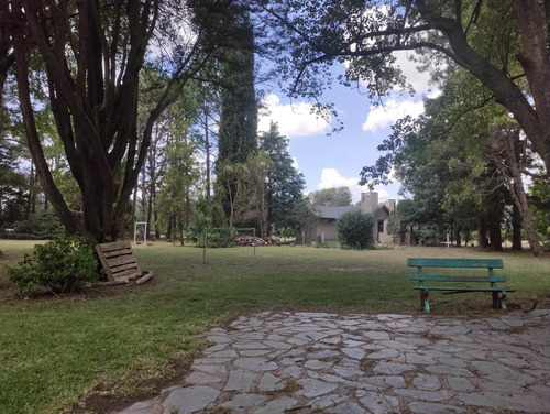 Imagen 29 de 30 de Hermosa Quinta Con Mucha Arboleda Añeja