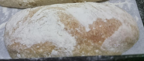 Ciabatta Para Burrata,y Más! Buena Medida! Por 12 Unidades