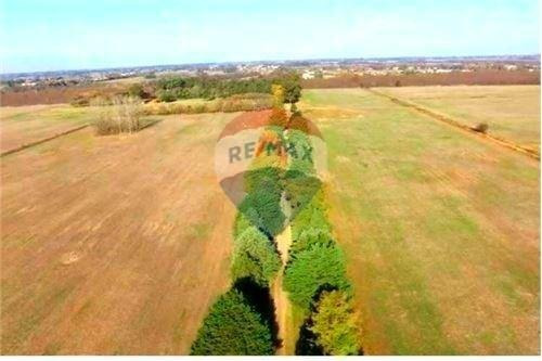 Imagen 2 de 21 de Venta Campo De 195 Ha. En Manzanares Pilar - Único