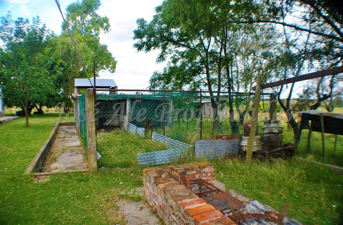 Imagen 11 de 14 de En Venta Campo De 137 Ha Colonia Del Sacramento
