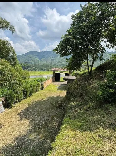 Terreno