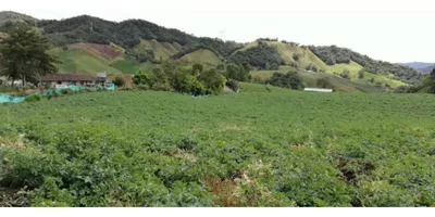 Finca en venta