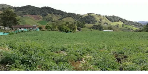 Hermosa Finca En Venta En El Municipio De La Unión Antioquia ~