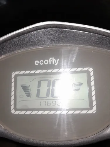 Ecofly Rx 2022
