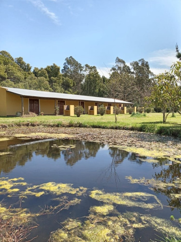 Imagen 5 de 21 de Complejo De Cabanas En Venta Miramar