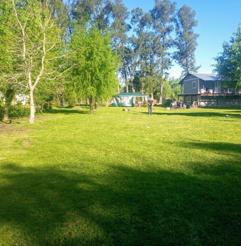 Imagen 9 de 12 de Terreno - Campana