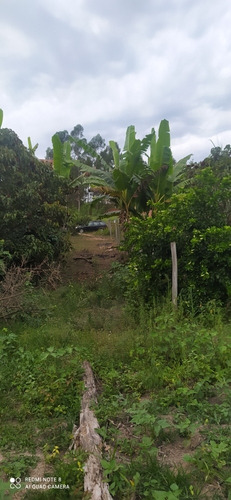 Imagem 6 de 14 de Casa De 3 Quartos E 1 Banheiro