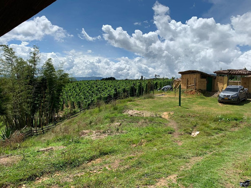 Imagen 9 de 14 de Finca En San Vicente 7 Hectáreas 850 Millones Aguacates