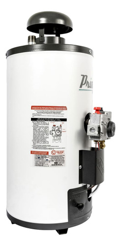 Calentador De Agua A Gas Iusa Primo Plus R06 Nat Blanco