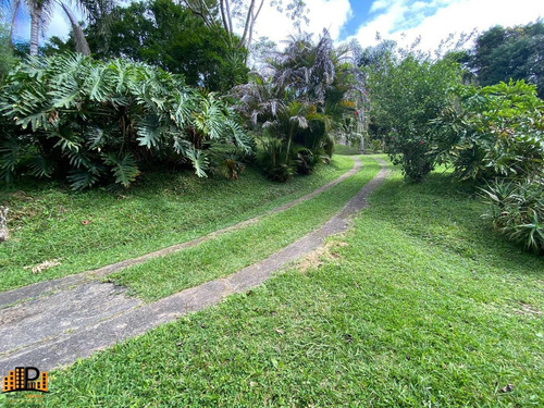 Imagem 21 de 30 de Chácara À Venda 4.600m2 Terreno, Casa 485m2 Piscina Estrada Julio Rocha Bairro Do Monjolo Em Juquitiba - Sp - Ch07787 - 70289503