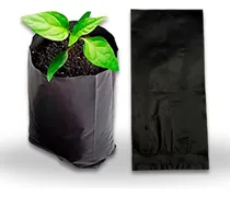 Comprar Bolsa Para Vivero - 8cm X 8cm X 19cm (alto) 1000 Piezas
