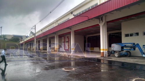 Imagem 3 de 9 de Galpão Em Cumbica - Guarulhos - 3651