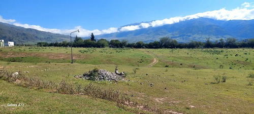 Terreno En Venta En El Rodeo