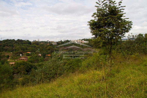 Imagem 7 de 8 de Área À Venda Em Dois Córregos - Ar009235