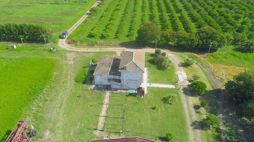 Imagen 13 de 21 de Venta Campo 11 Has Rincon Del Cerro Montevideo