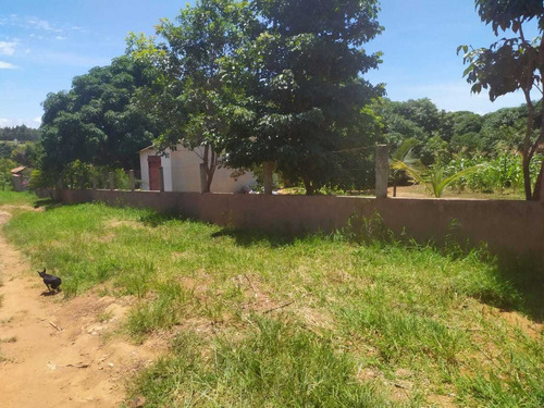 Vd Excelente Chacara 4.000m² -nova Petrópolis-planaltina-go