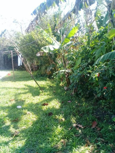 Imagem 4 de 9 de Casa No Jardim Belas Artes - Ca0326