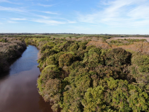 Imagen 2 de 10 de Campo En Venta Sobre Ruta Y Arroyo Navegable