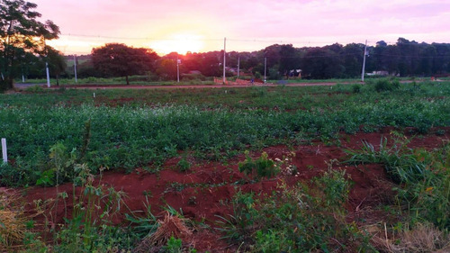 Imagem 4 de 15 de Terreno À Venda, 300 M² Por R$ 50.000,00 - Loteamento Universitário Das Américas - Foz Do Iguaçu/pr - Te0456