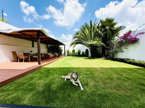 Casa En Condominio En  Arbol De La Vida Metepec