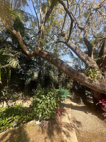 Imagen 4 de 23 de Casa En Las Palmas, Cuernavaca