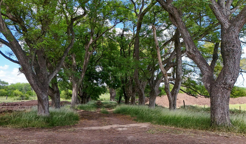 Lote En Venta En Estancia Carabassa Pilar, Al Verde