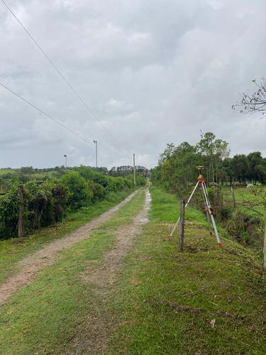 Imagem 9 de 14 de S01- 1.000m² Apenas 49.990 /100% Plano