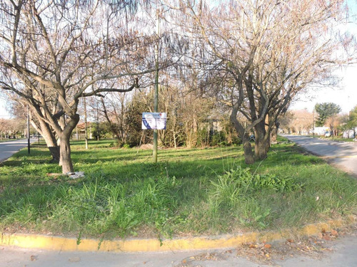 Imagen 3 de 8 de Lote En Pipinas