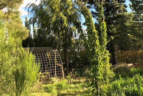 Lote De 1300 Mts2 Forestado Con Dos Departamentos