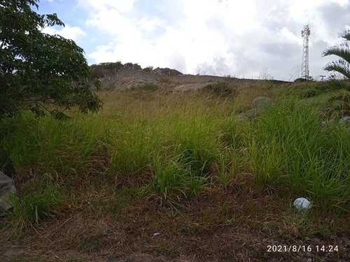 Imagem 5 de 6 de Terreno Em Cruzeiro, Gravatá/pe De 3000m² À Venda Por R$ 350.000,00 - Te1195112-s
