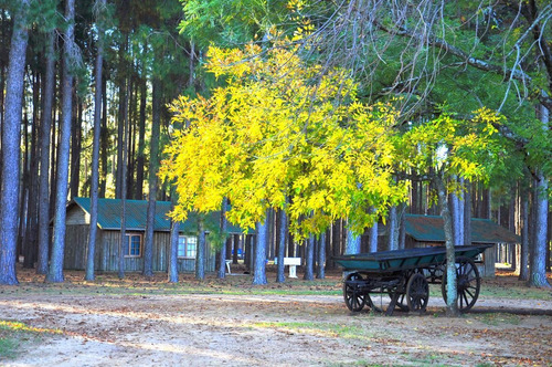 Imagen 22 de 30 de Lotes A La Venta En La Aldea Club De Campo - Colon Entre Rios Desde Usd 38.000!