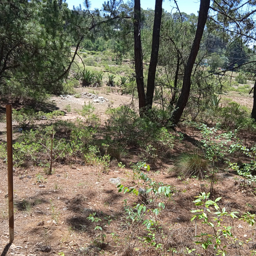 Terreno En Omitlan, Hidalgo A 30 Mins De Pachuca Y 15 De Huasca, Propiedad, Entrada En Pavimento Y Servicios A La Mano