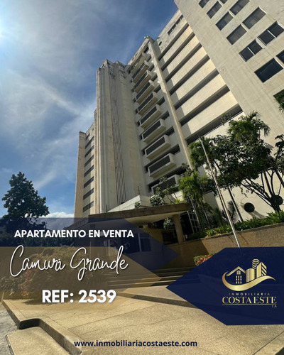 Apartamento En Venta Ubicado En Camurí Grande Ref 2539