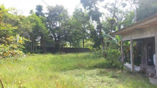 Imagem 11 de 24 de Chácara Com Edícula E Com 2.100 M² De Área Total, Em Itanhaém, No Bairro Palmeiras Ref: 9496/ac