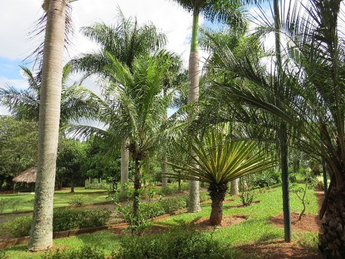 Imagem 5 de 30 de Chacara 20.000 M2 Quadra De Tenis , Pomar, Lago Com Peixes - Ch00242 - 2446285