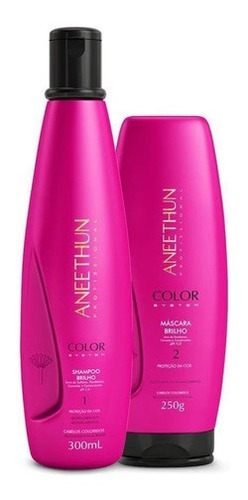 Imagem 1 de 3 de Kit Aneethun Color Shampoo300ml E Máscara250gr