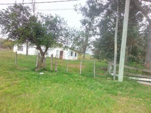 Imagen 5 de 13 de Chacra A 15 Minutos Punta Ballena. - Maldonado
