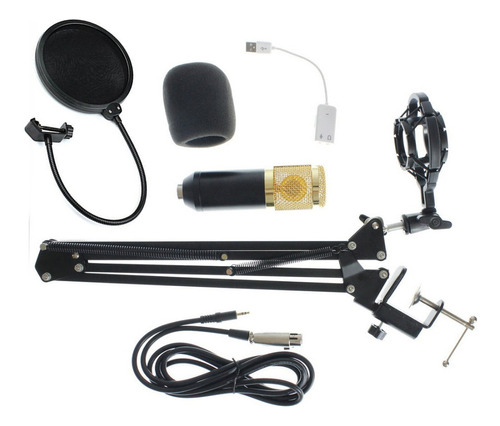 Kit Microfono Condensador Con Antipop Brazo Y Tapa De Espuma