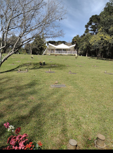 Jazigo Cemitério Parque Iguaçu 