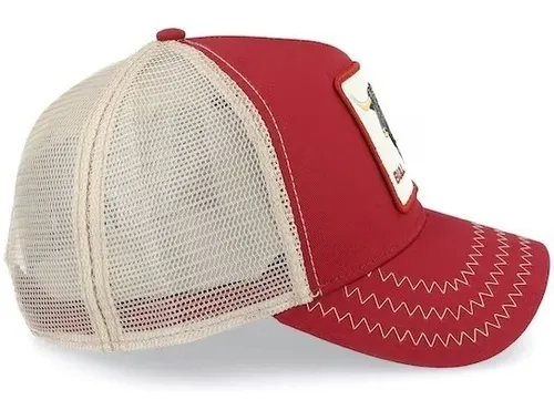 Goorin bull top