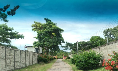 Imagen 16 de 30 de Se Vende Finca Ganadera En El Estado Barinas
