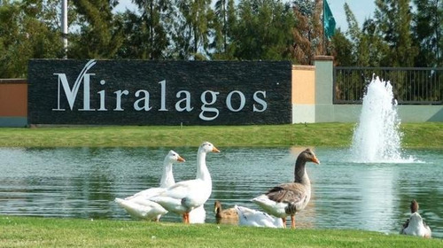 Lote En Venta En Miralagos 1