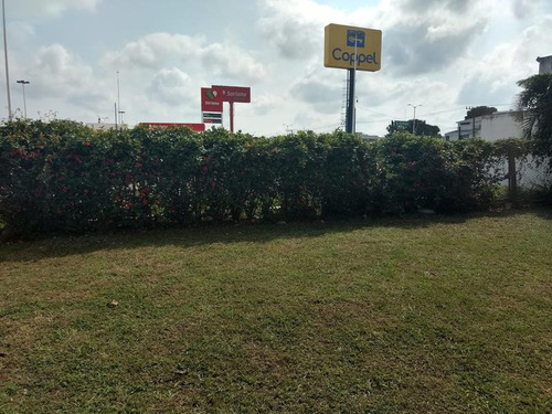 Vendo Terreno 305 M² Col. Tropicana Tuxpan Veracruz