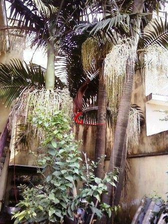 Imagem 2 de 3 de Casa Com 2 Dormitórios À Venda, 250 M² Por R$ 1.100.000,00 - Rudge Ramos - São Bernardo Do Campo/sp - Ca0124