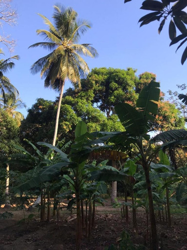 Imagen 14 de 16 de Finca En Falcon En Venta.lf